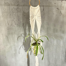 Macrame Pot Holder - Long With Ratten Hoop