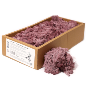 Quality Decorative Reindeer Moss - Lavender - 635g Box