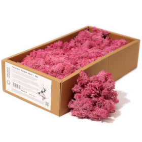 Quality Decorative Reindeer Moss - Pink - 635g Box