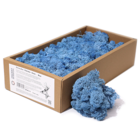 Quality Decorative Reindeer Moss - Blue - 635g Box