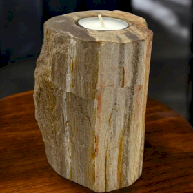 Petrified Wood Candle Holder - Single Tall