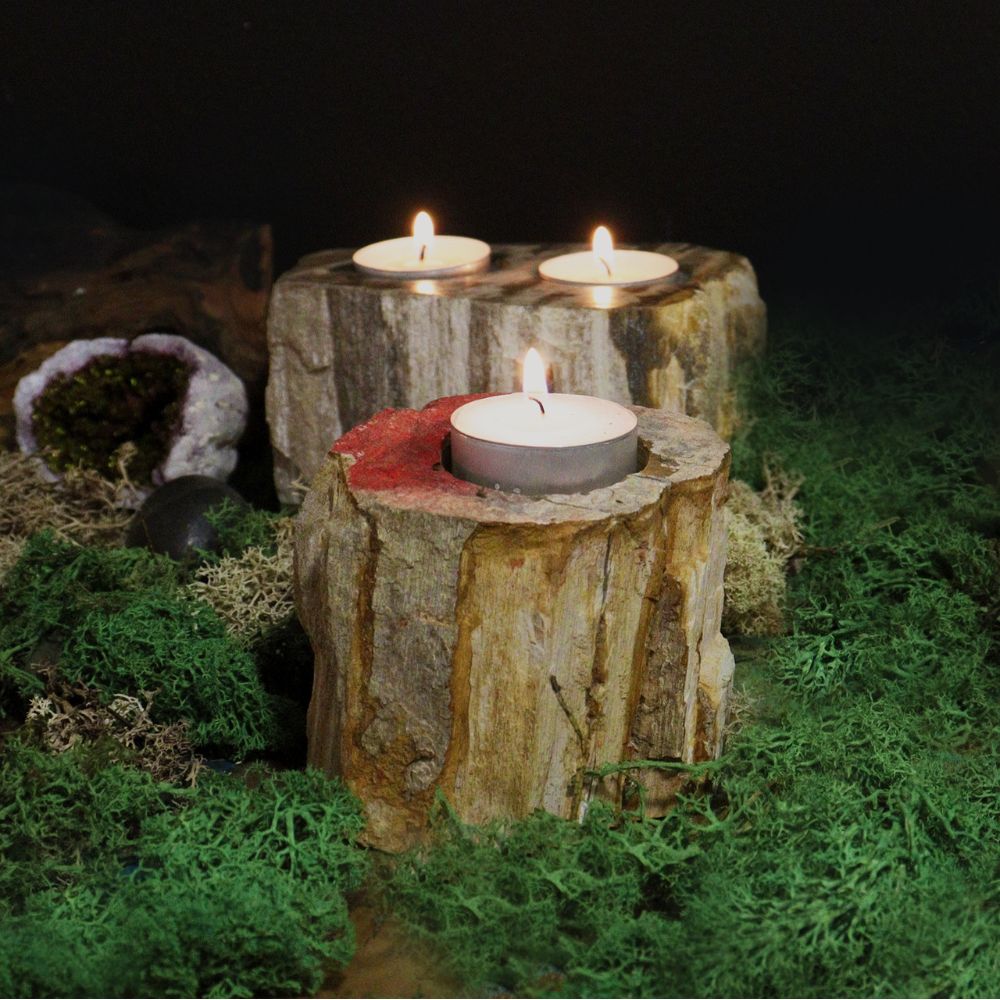 Petrified Wood Candle Holders