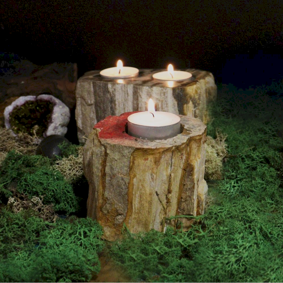 Petrified Wood Candle Holders