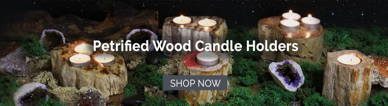 Petrified Wood Candle Holders