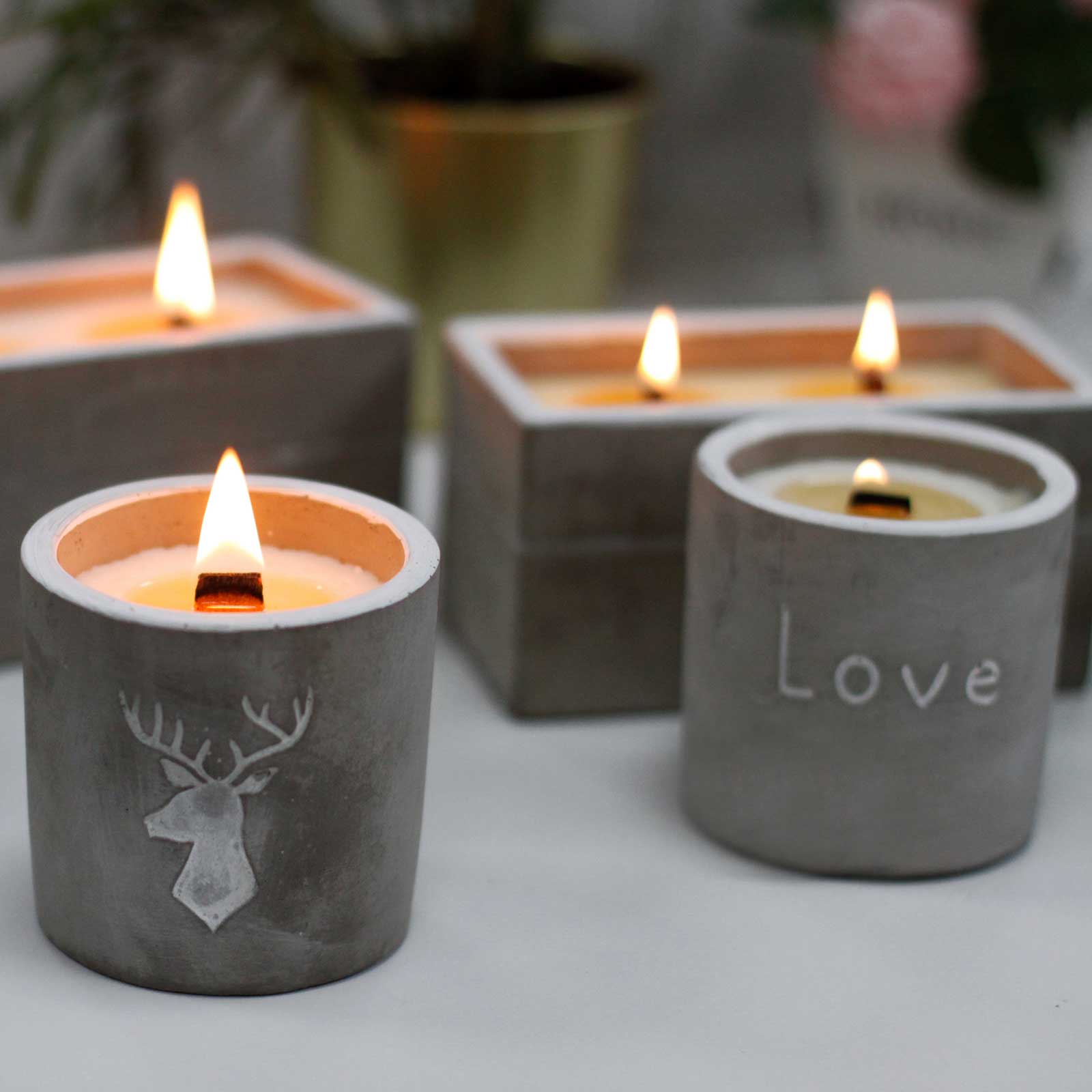 Concrete Wooden Wick Candles UK